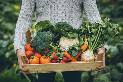 https://www.fruitesveggies.ca/wp-content/uploads/2024/03/instagram3.png